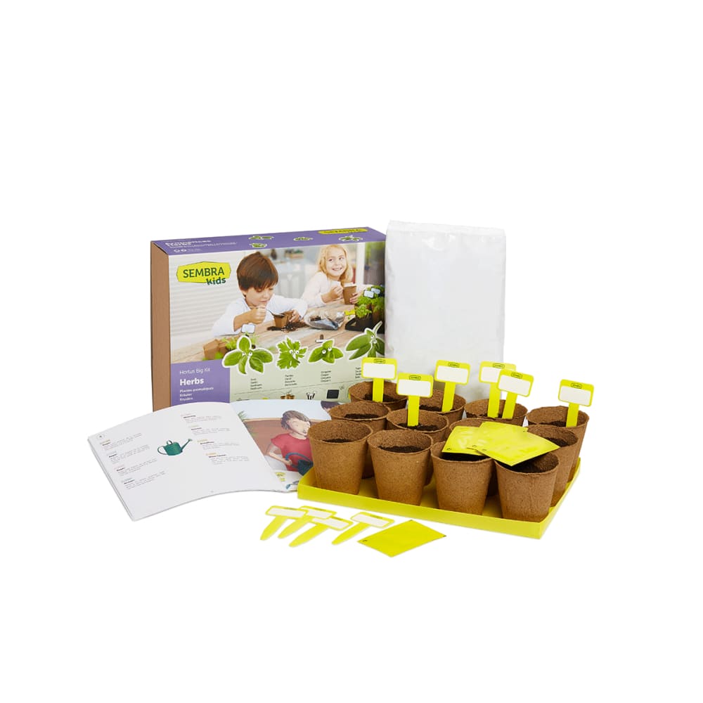 Grow your Own Aromatic Herbs