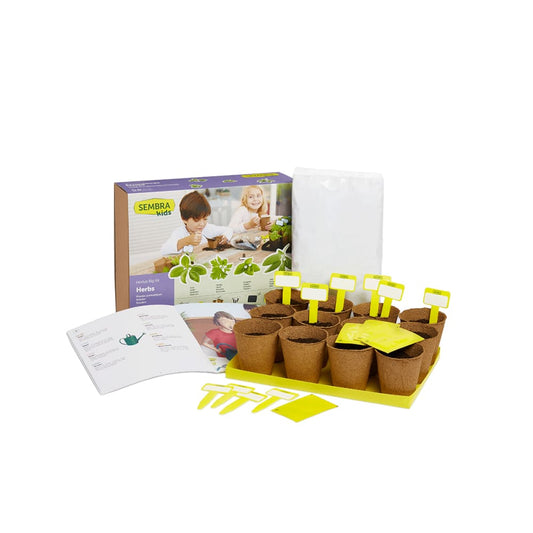 Grow your Own Aromatic Herbs