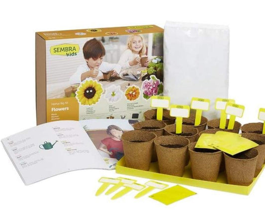 Grow your Own Summer Flowers