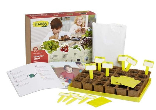 Grow your Own Summer Salad